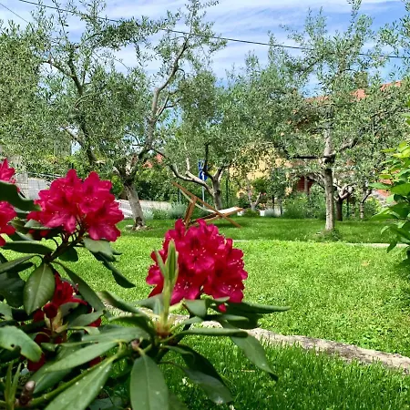 Apartman Aloha