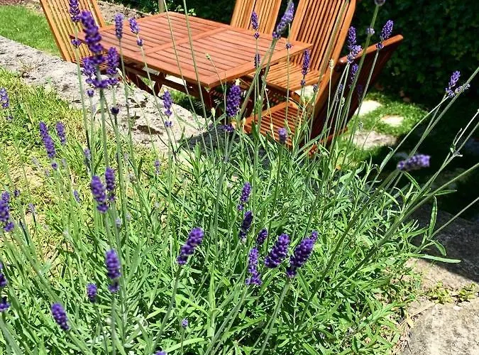 Aloha 公寓 科佩尔